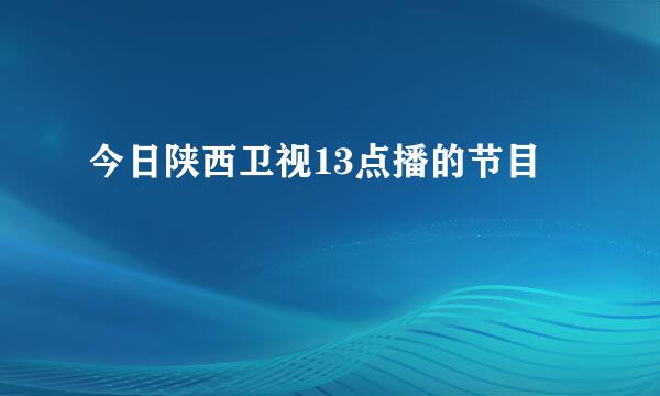 今日陕西卫视13点播的节目