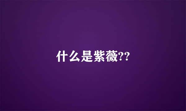 什么是紫薇??