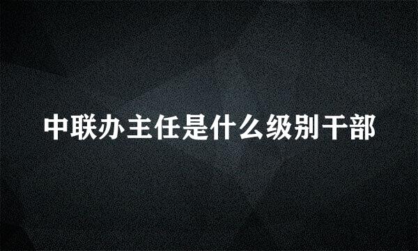 中联办主任是什么级别干部