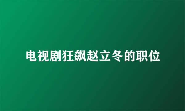 电视剧狂飙赵立冬的职位