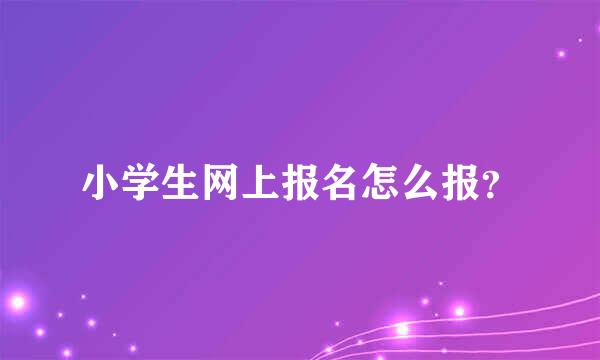 小学生网上报名怎么报？