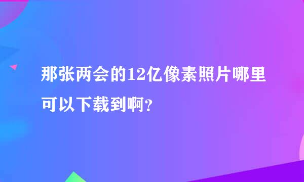 那张两会的12亿像素照片哪里可以下载到啊？