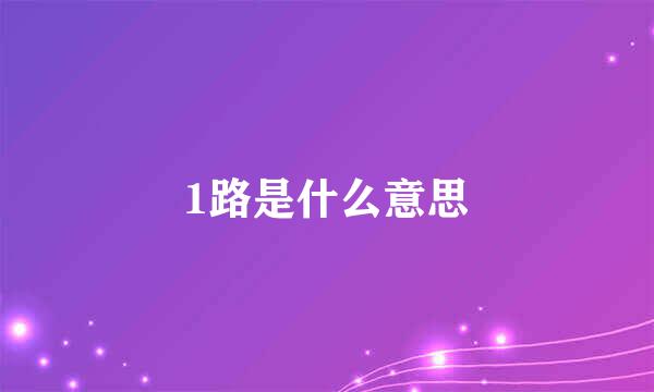 1路是什么意思