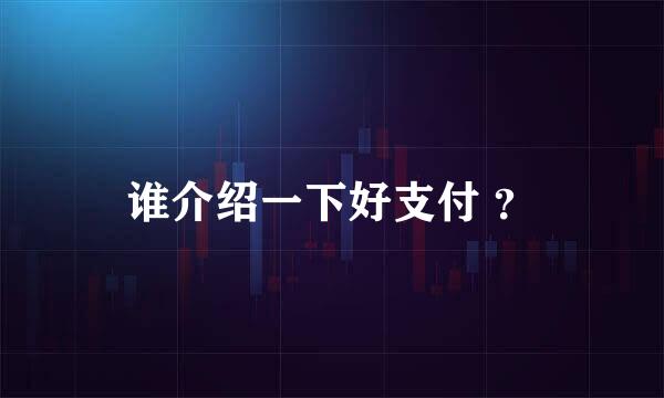 谁介绍一下好支付 ？