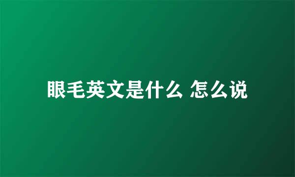 眼毛英文是什么 怎么说