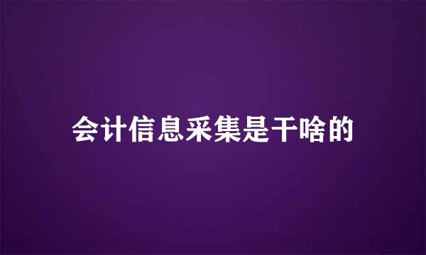 会计信息采集是干啥的