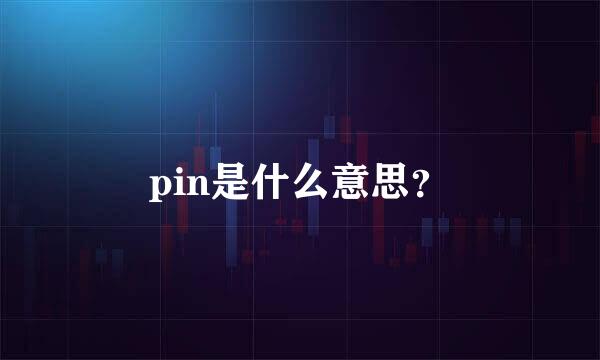 pin是什么意思？