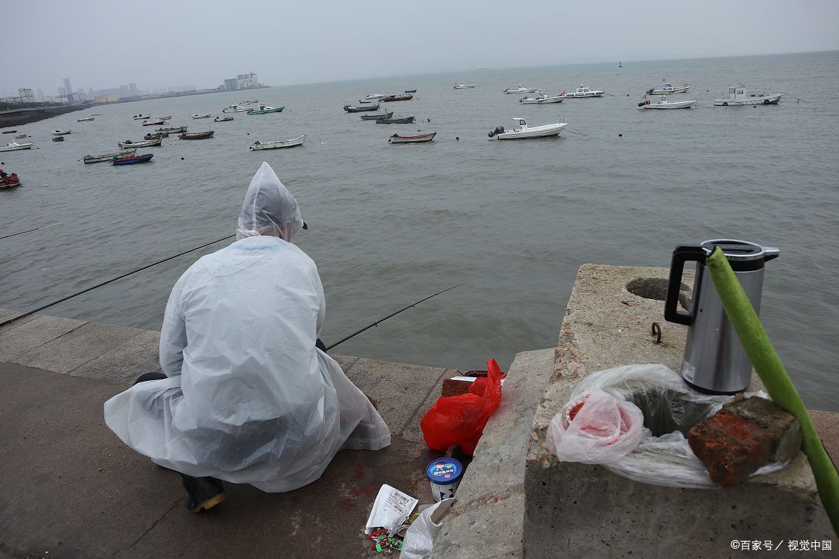 夏季在水库台钓鲤鱼的三个技巧是什么你知道吗？