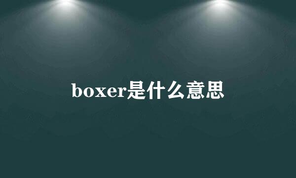 boxer是什么意思