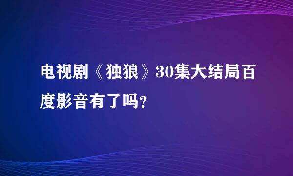 电视剧《独狼》30集大结局百度影音有了吗？