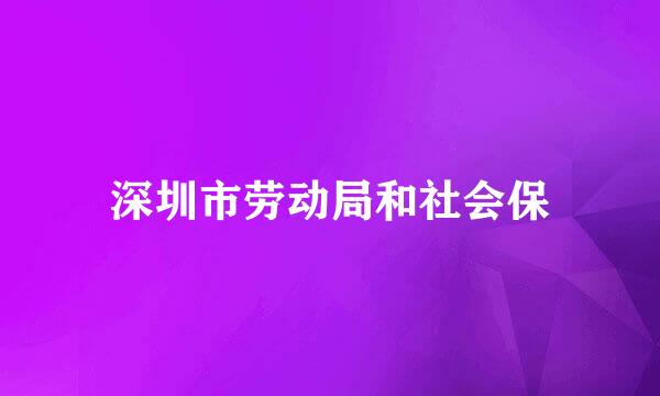 深圳市劳动局和社会保