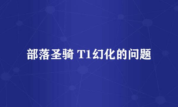 部落圣骑 T1幻化的问题