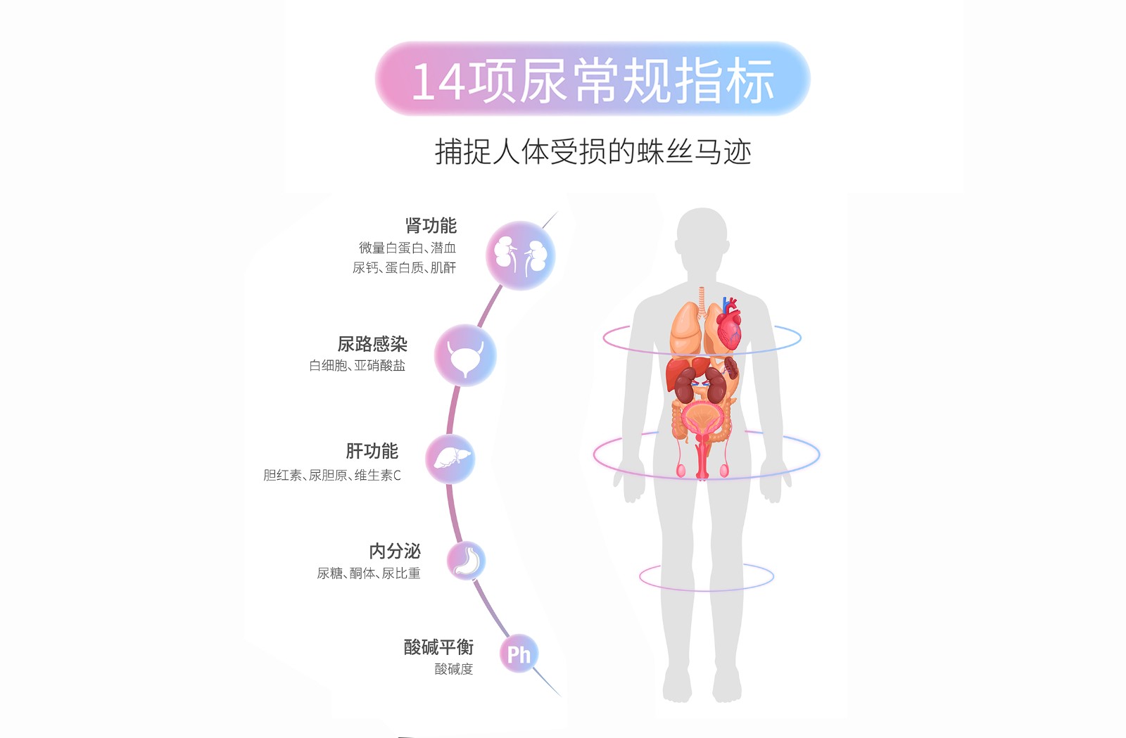 肾结石最好治疗方法有哪些？