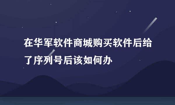 在华军软件商城购买软件后给了序列号后该如何办