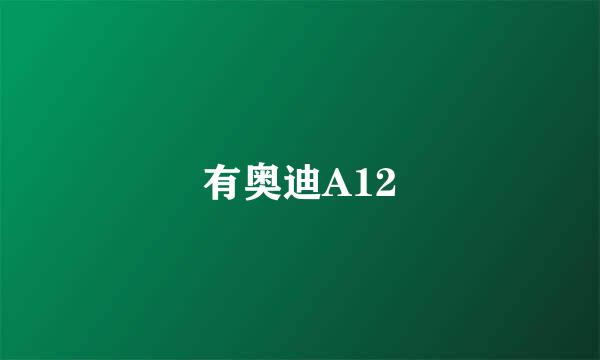 有奥迪A12