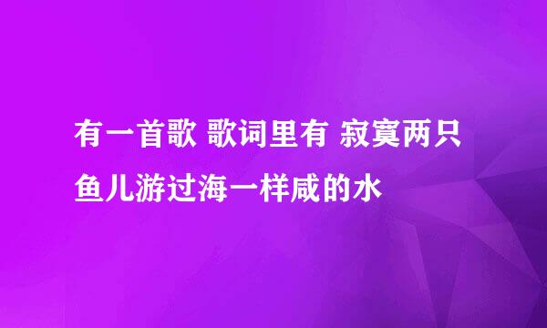 有一首歌 歌词里有 寂寞两只鱼儿游过海一样咸的水