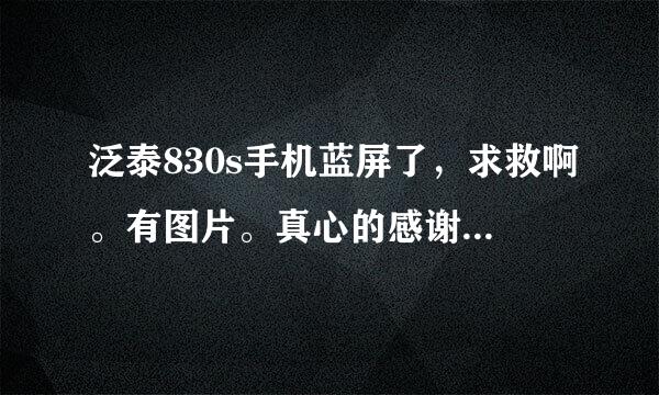 泛泰830s手机蓝屏了，求救啊。有图片。真心的感谢，是不是被我误删什么东西了，导致的这种情况。老是