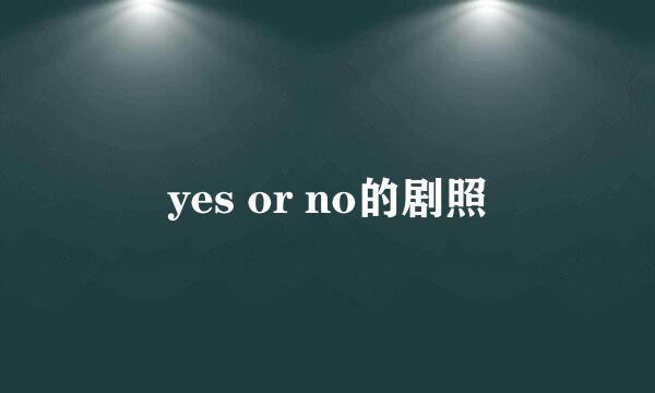 yes or no的剧照