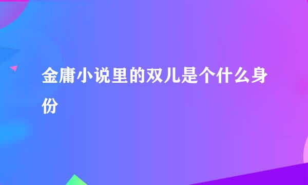 金庸小说里的双儿是个什么身份