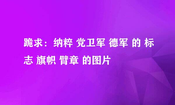 跪求：纳粹 党卫军 德军 的 标志 旗帜 臂章 的图片