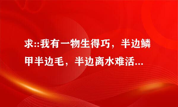 求::我有一物生得巧，半边鳞甲半边毛，半边离水难活命，半边入手命难保。这是个什么字谜？