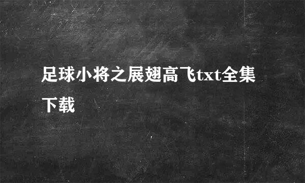 足球小将之展翅高飞txt全集下载