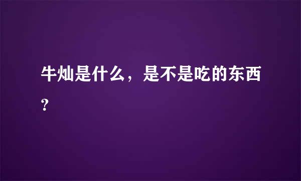 牛灿是什么，是不是吃的东西？