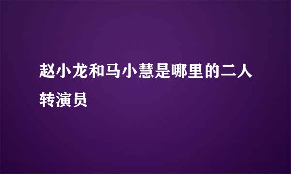 赵小龙和马小慧是哪里的二人转演员