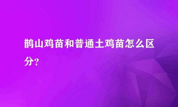 鹊山鸡苗和普通土鸡苗怎么区分？