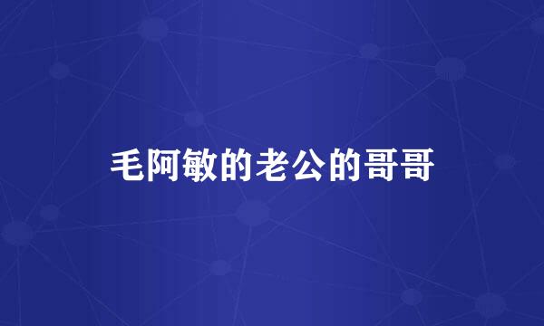 毛阿敏的老公的哥哥