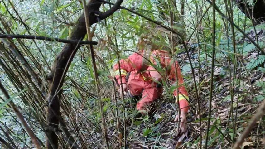 失联地质人员雨衣碎片被发现，除此之外还发现了哪些线索？