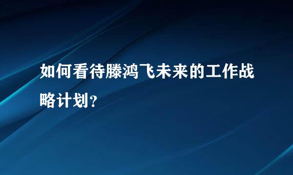 如何看待滕鸿飞未来的工作战略计划？