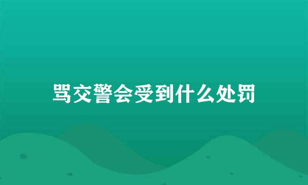 骂交警会受到什么处罚