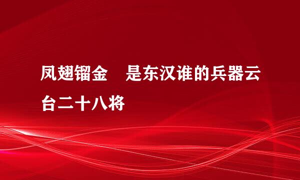 凤翅镏金镋是东汉谁的兵器云台二十八将