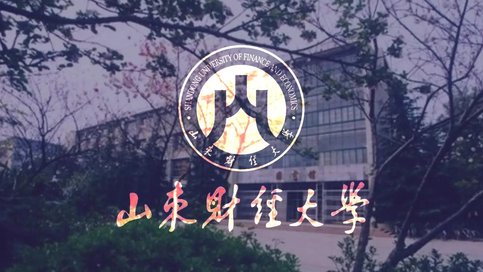 山东经济学院现在叫什么