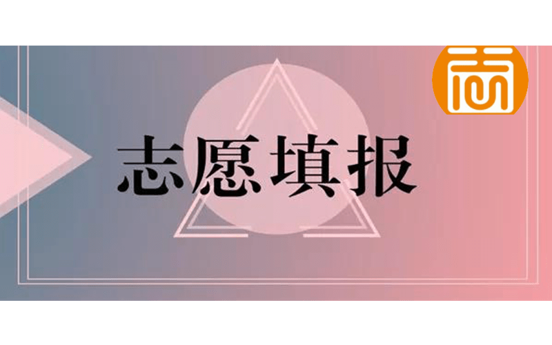 高考生因系统崩溃错过志愿填报，此事应该由谁来担责？