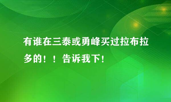 有谁在三泰或勇峰买过拉布拉多的！！告诉我下！