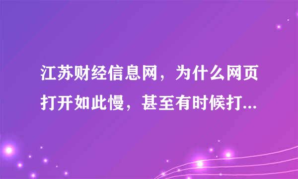 江苏财经信息网，为什么网页打开如此慢，甚至有时候打开不了。