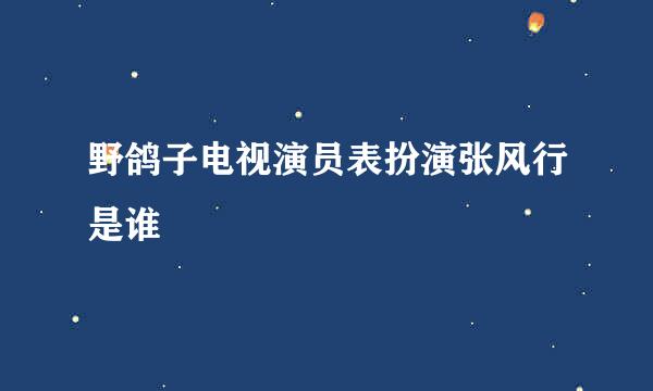 野鸽子电视演员表扮演张风行是谁