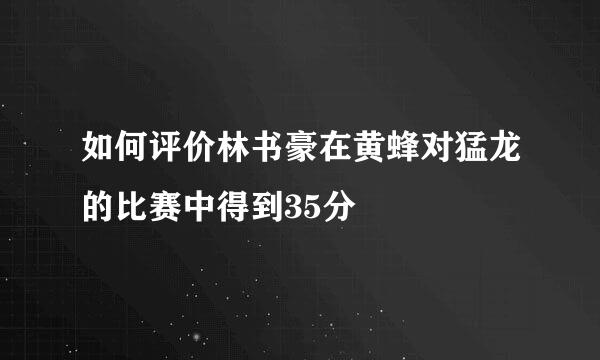 如何评价林书豪在黄蜂对猛龙的比赛中得到35分