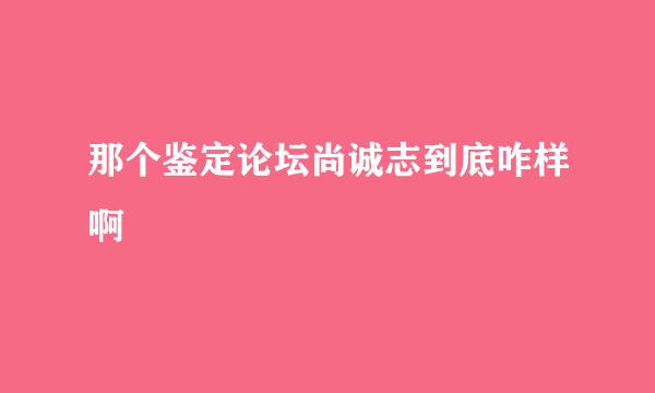 那个鉴定论坛尚诚志到底咋样啊