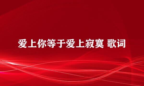 爱上你等于爱上寂寞 歌词