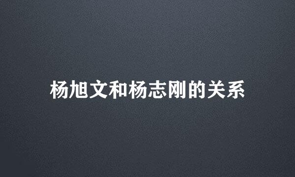 杨旭文和杨志刚的关系