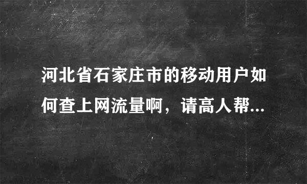 河北省石家庄市的移动用户如何查上网流量啊，请高人帮帮啦，告诉我网址哈