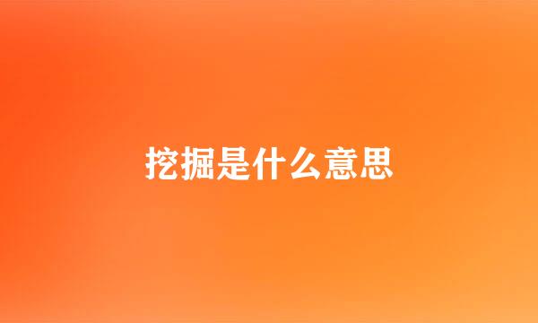 挖掘是什么意思