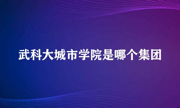 武科大城市学院是哪个集团