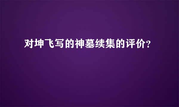 对坤飞写的神墓续集的评价？