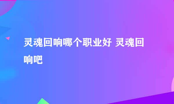 灵魂回响哪个职业好 灵魂回响吧