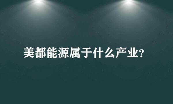 美都能源属于什么产业？