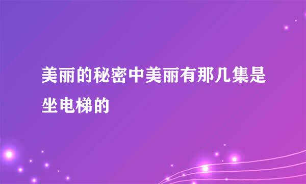 美丽的秘密中美丽有那几集是坐电梯的